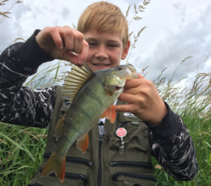 Mads Linderoth aborre