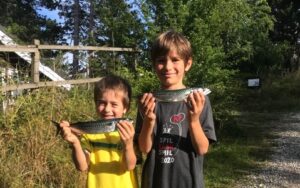 makreller_frede_Sigurd