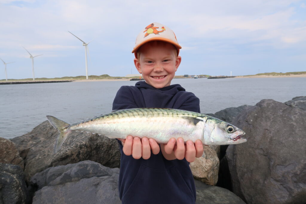 Aksel - Makrel - 13.08.2024